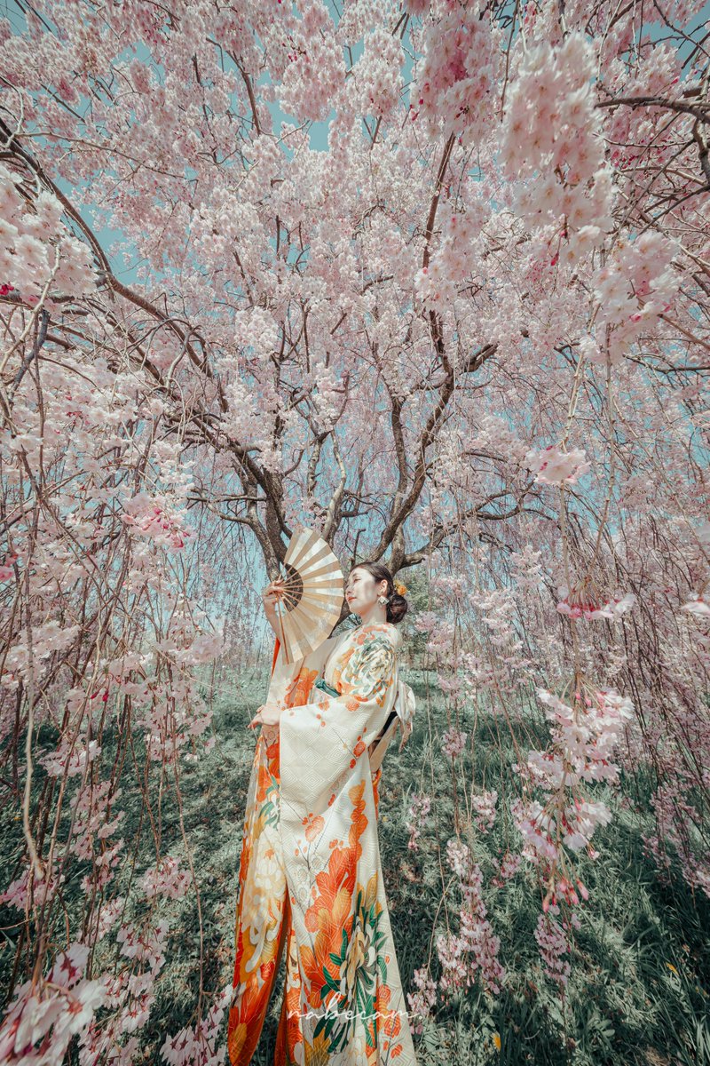 tokyocamerajp's tweet image. nabecamさんの投稿作品。リツイート＆いいね！大歓迎です。
tokyocameraclub.com/mstdn/nabecam/…
 #mastodon #マストドン #Photograph #Photography