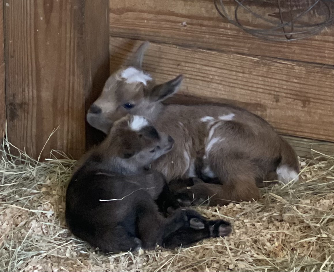 Lisa A Pierce tweet media