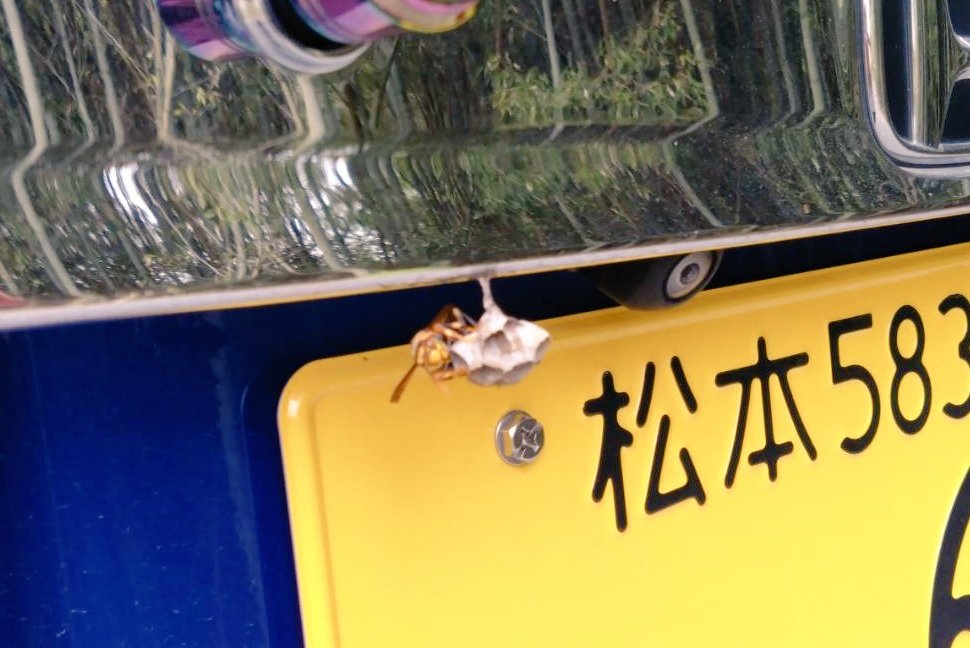 おりやま tweet media