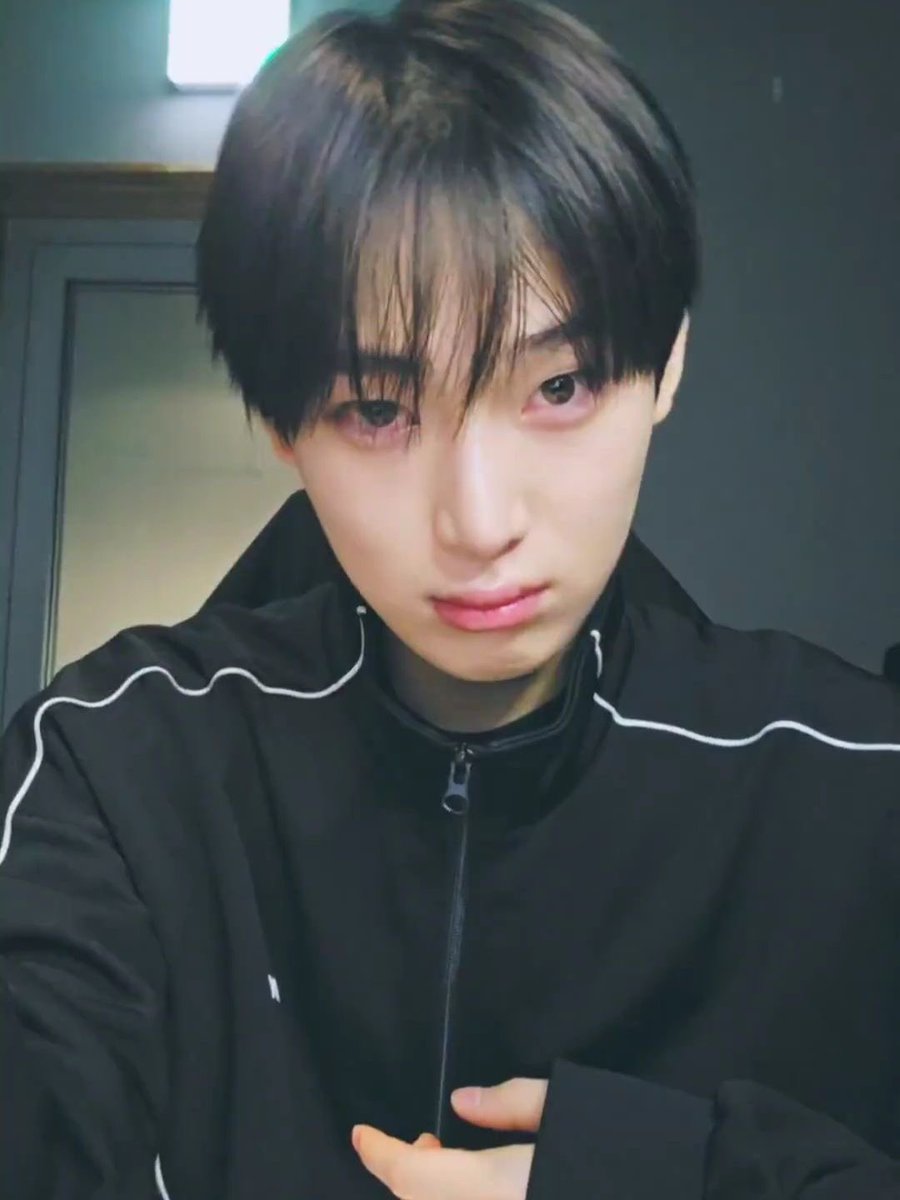 isabella | ENHYPEN IS 7 tweet media