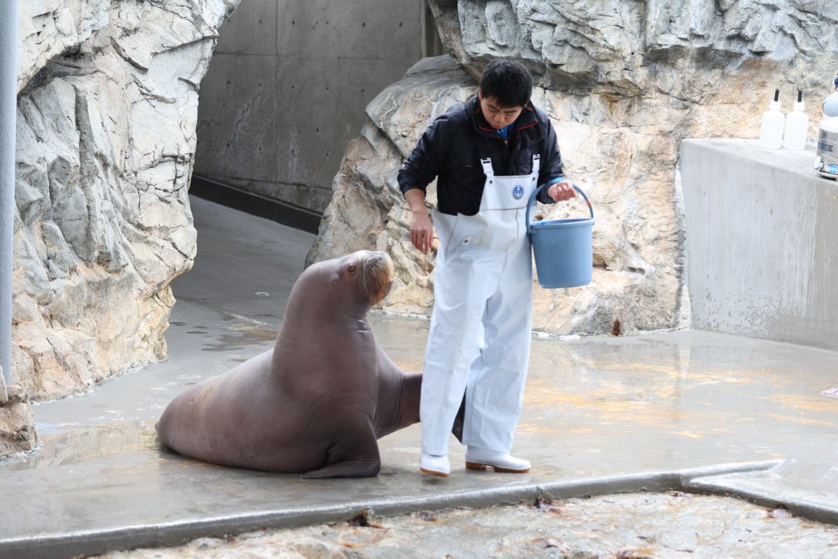 なみへい tweet media