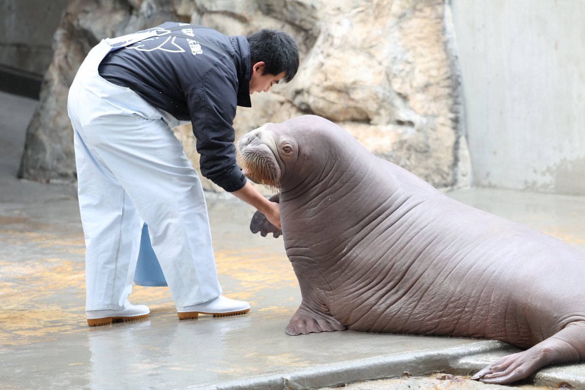 なみへい tweet media