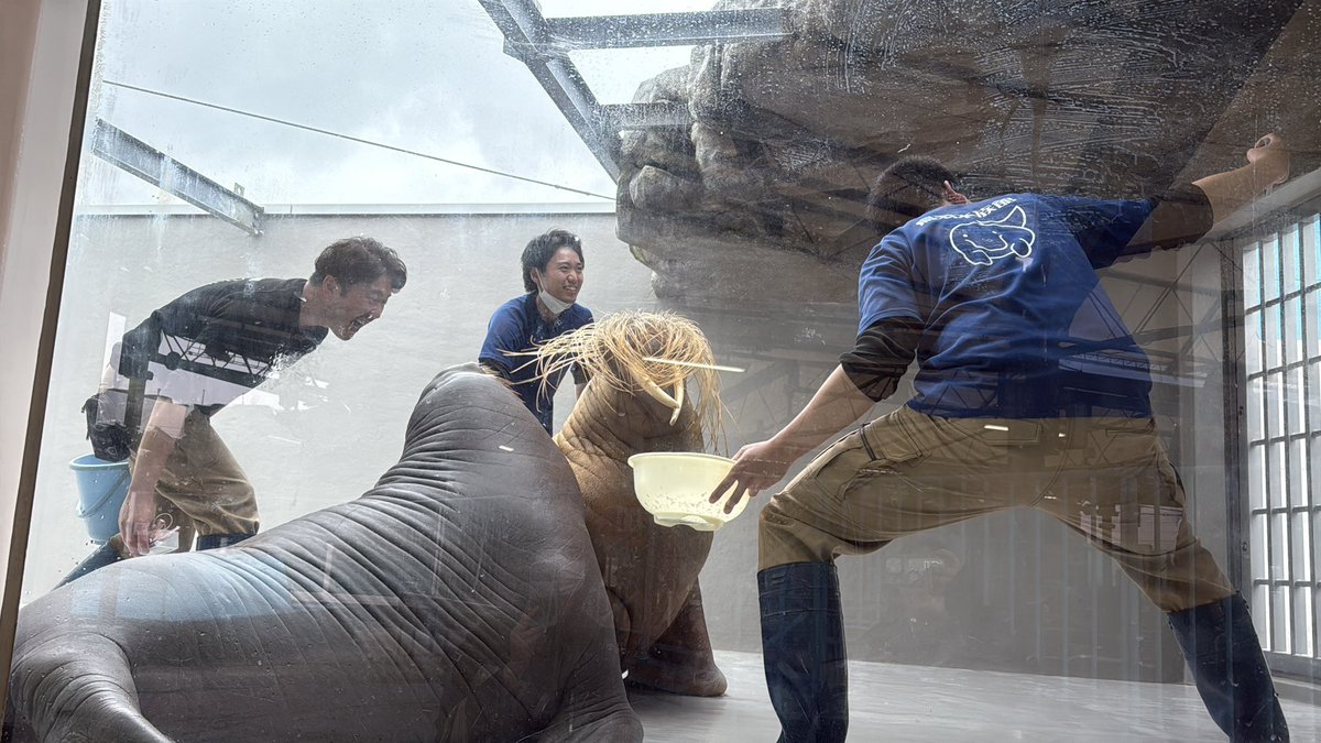 なみへい tweet media