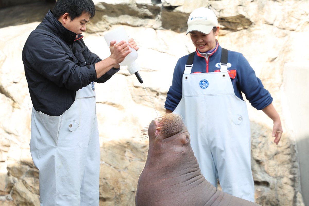 なみへい tweet media