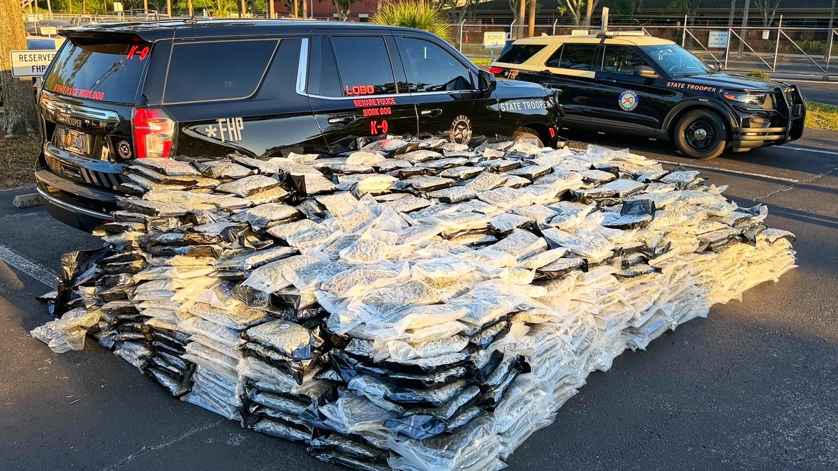 FHPTampa's tweet photo. Give That #Dog a Bone...Or maybe 2!!!
#FHP #StateTrooper #K9 #Lobo strikes again, much to the chagrin of a 55-year-old Largo man traveling on I-75 in #Sumter County #Florida with 2,025 pounds of marijuana...
#NotTodayBoss #NiceTry #BadMove https://t.co/5i1w5KU66d