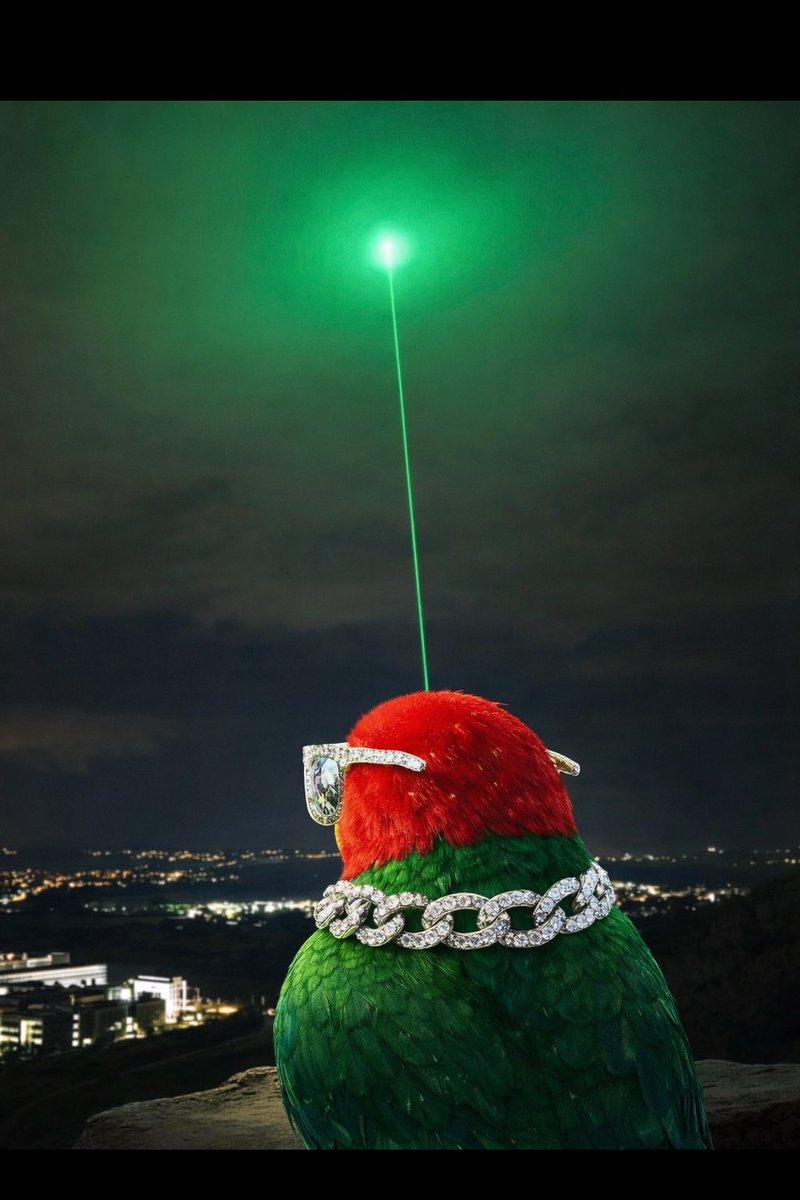 El Perico tweet media