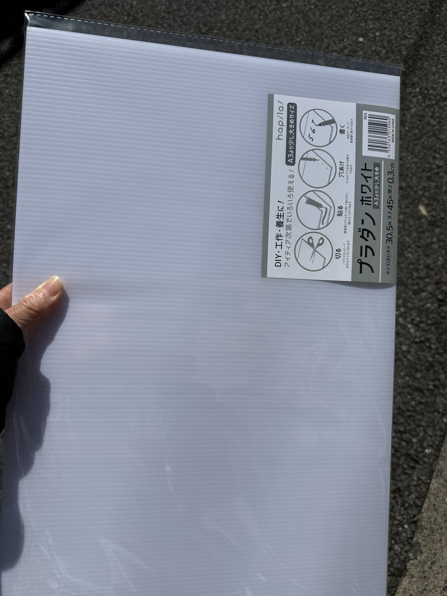 世田谷猫 tweet media