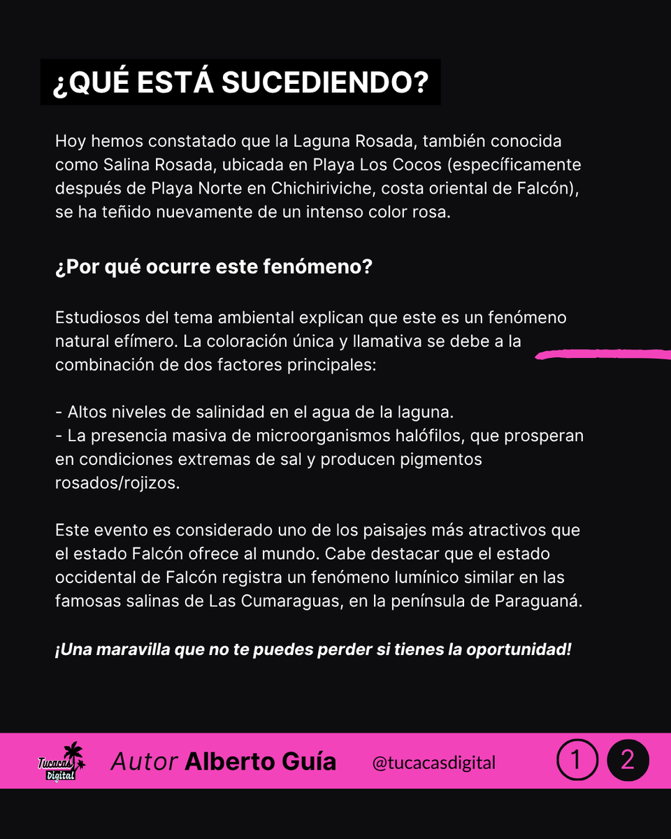 tucacasdigital's tweet photo. Hoy pudimos constatar que la Laguna Rosada de Playa Los Cocos, en Chichiriviche, se tiñó de rosa nuevamente. 

🌸 Este fenómeno natural fascinante, producto de la salinidad y microorganismos, vuelve a regalarnos un paisaje alucinante en la costa de Falcón.🇻🇪✨ https://t.co/Z8kX8AK1FM