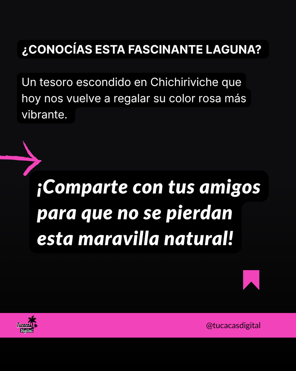tucacasdigital's tweet photo. Hoy pudimos constatar que la Laguna Rosada de Playa Los Cocos, en Chichiriviche, se tiñó de rosa nuevamente. 

🌸 Este fenómeno natural fascinante, producto de la salinidad y microorganismos, vuelve a regalarnos un paisaje alucinante en la costa de Falcón.🇻🇪✨ https://t.co/Z8kX8AK1FM