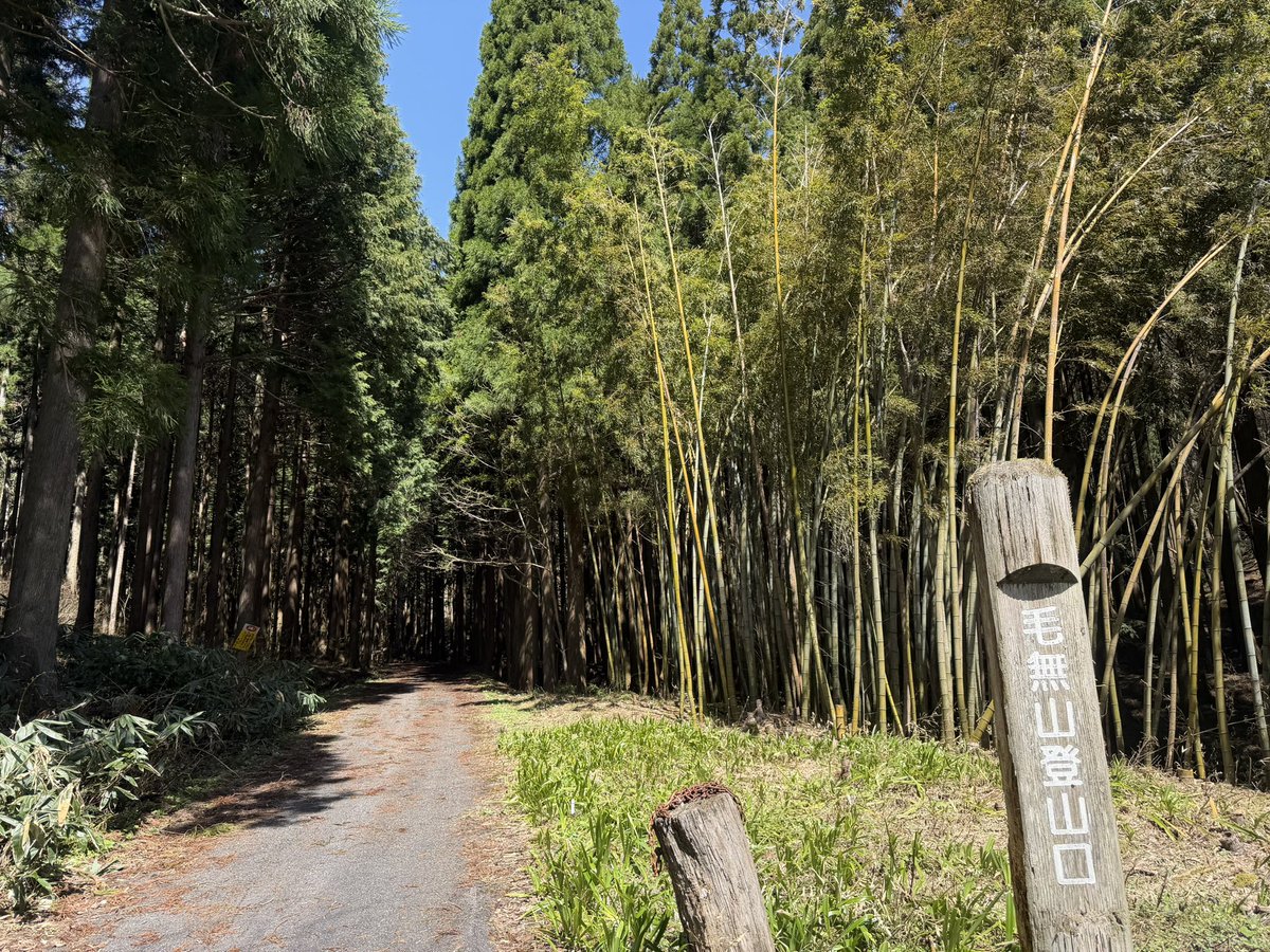 ひろきむ tweet media