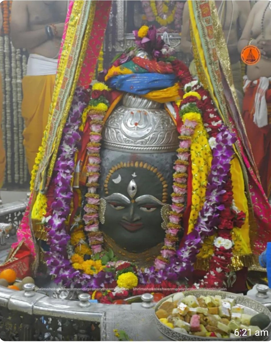 Survi Rawat tweet media