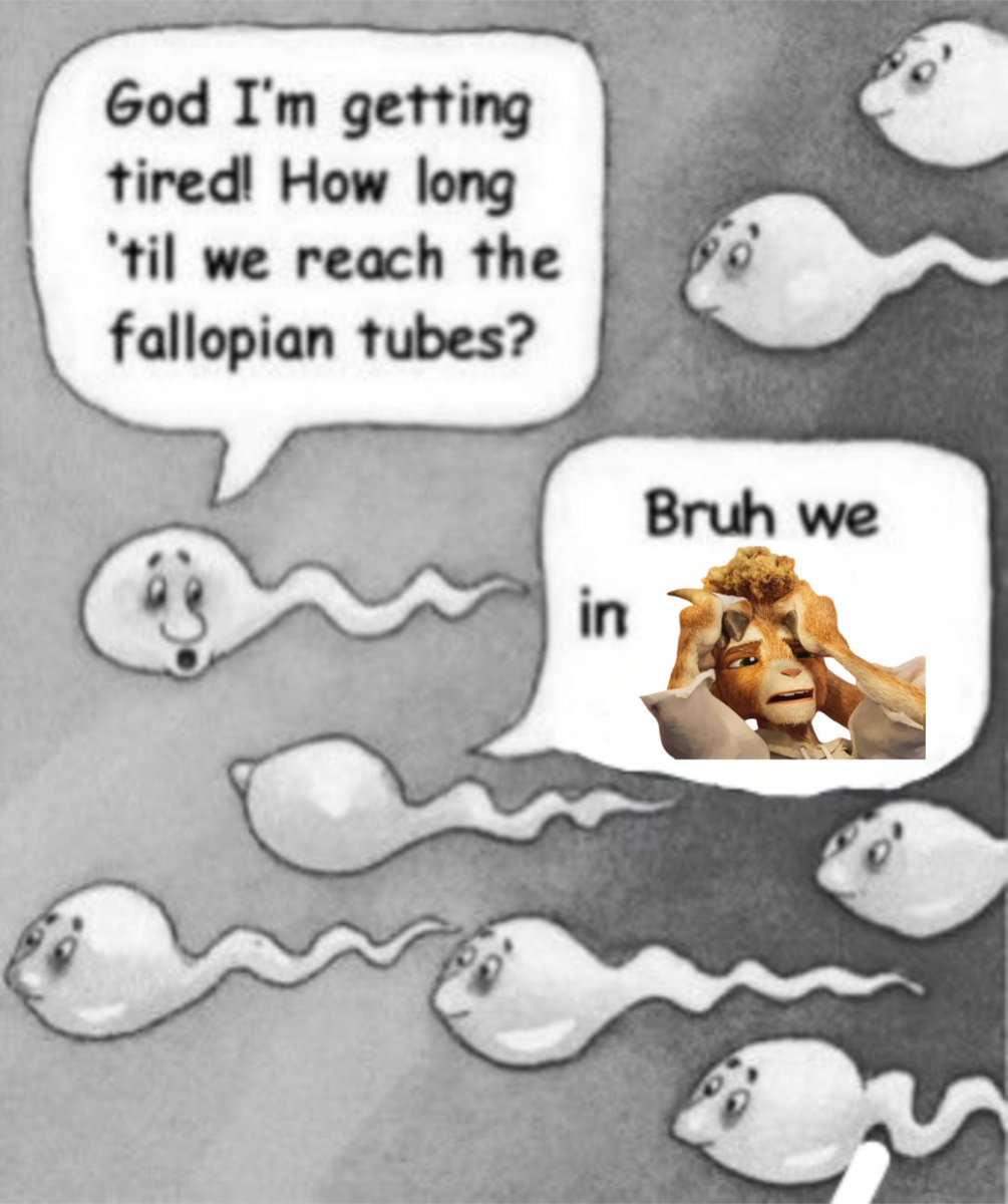 Levboy Max tweet media