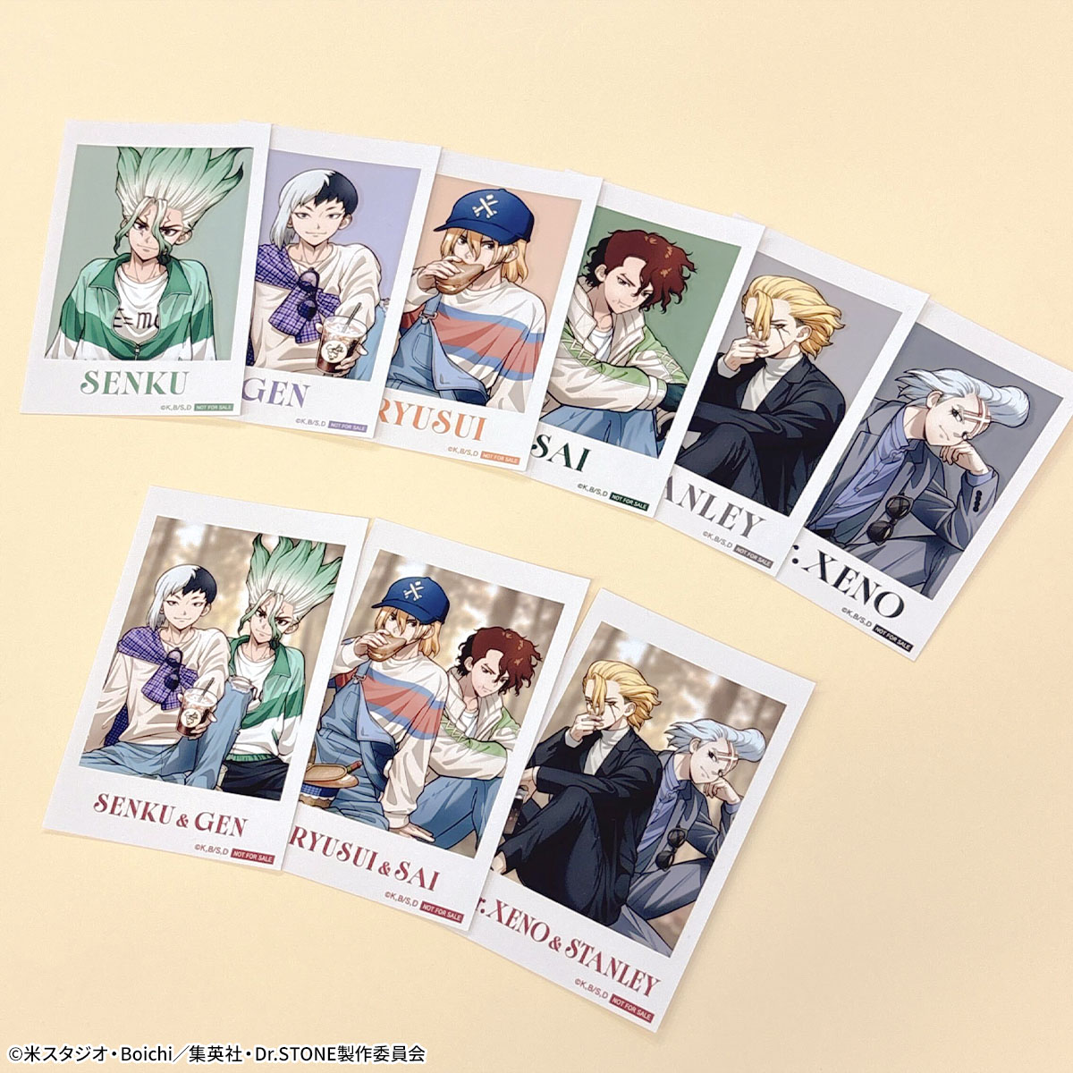 TVアニメ『#DrSTONE 』 × #mixxgarden 🥪𝗛𝗼𝗹𝗶𝗱𝗮𝘆 𝗣𝗶𝗰𝗻𝗶𝗰