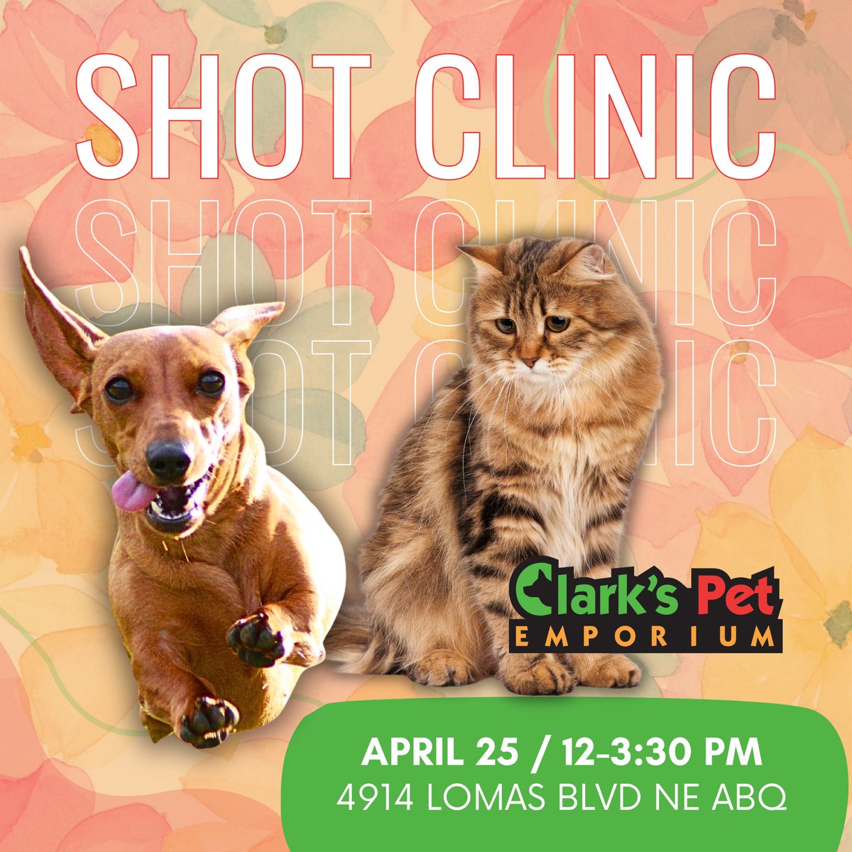 Clarks Pet Emporium tweet media