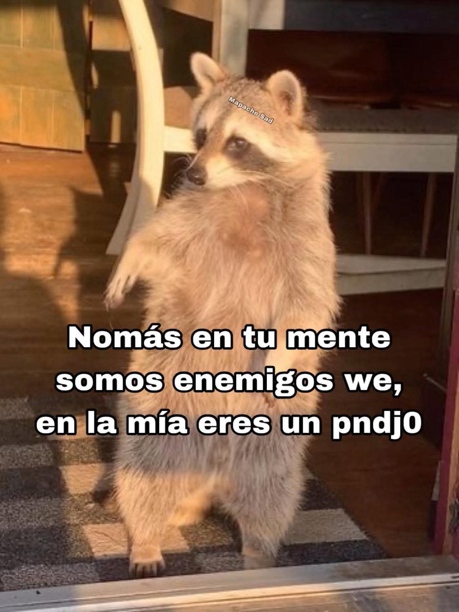 Maestre Mapaxito tweet media