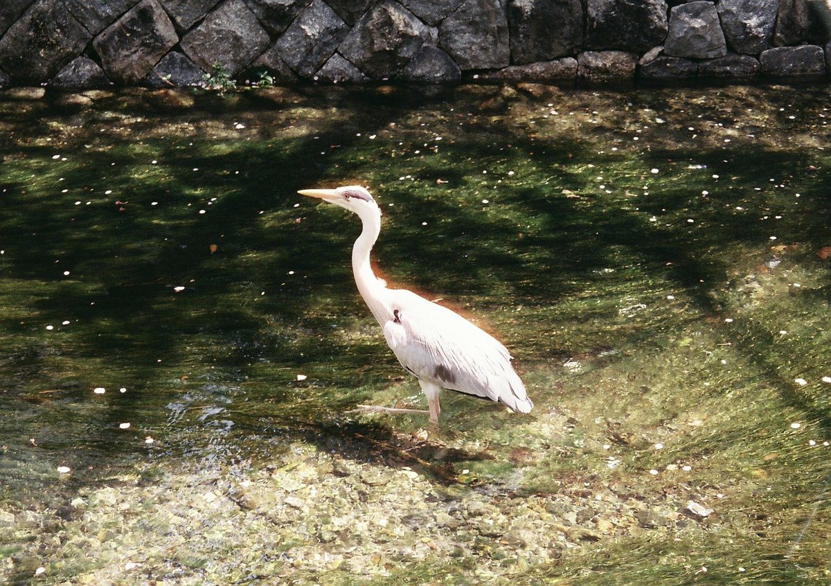 s🗡🎞️ tweet media