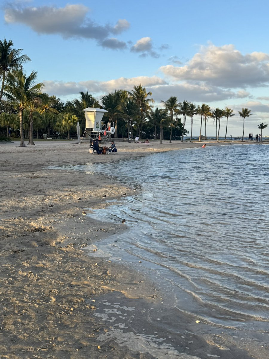 jelly 🪼⋅˚₊‧ ଳ⋆.ೃ࿔*:･ tweet media