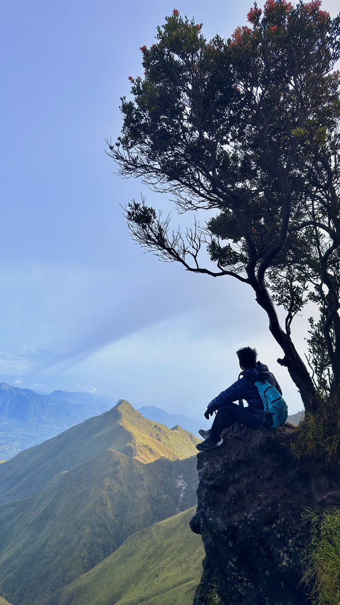 glazz♚ tweet media