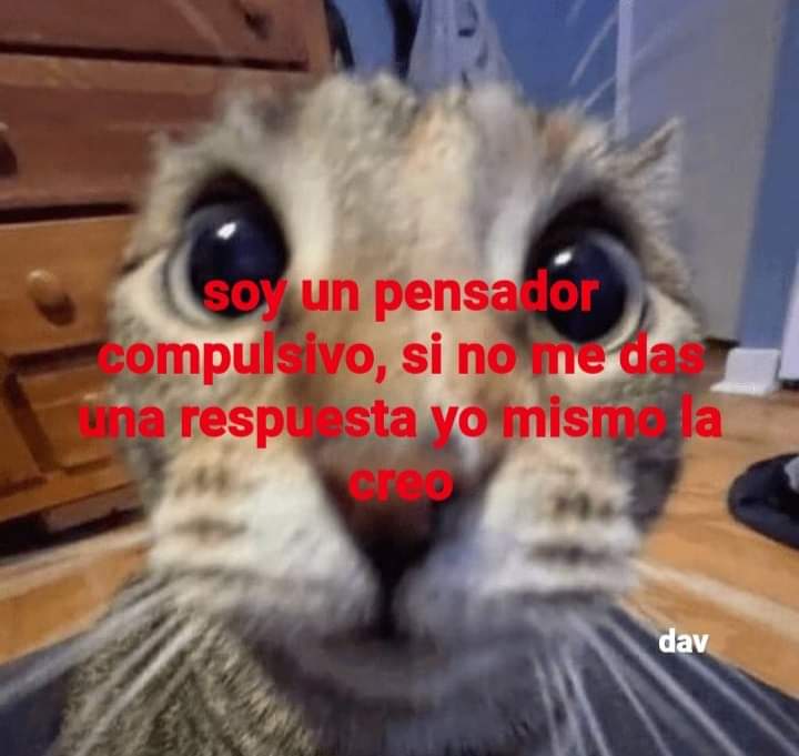 Animalitos en aprietos. tweet media