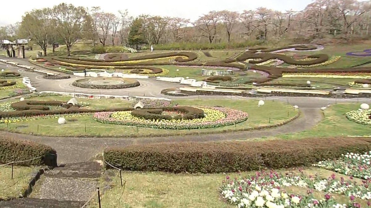 ウォッチン！スタッフ tweet media