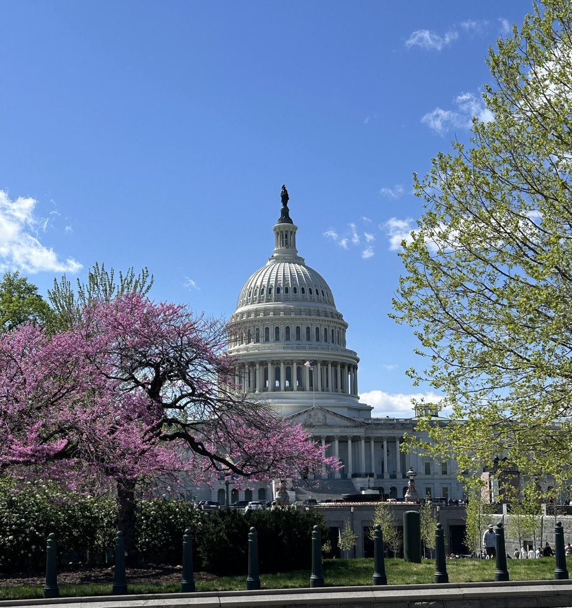 mmcdole1's tweet photo. Wonderful time in Washington D.C. today with ABMA (American Building Materials Alliance) meeting with RI Senators Jack Reed &amp; Sheldon Whitehouse and Representatives Seth Magaziner &amp; Gabe Armo. They were genuinely interested in our causes. @TheNRLA https://t.co/b6UQOFRd1n