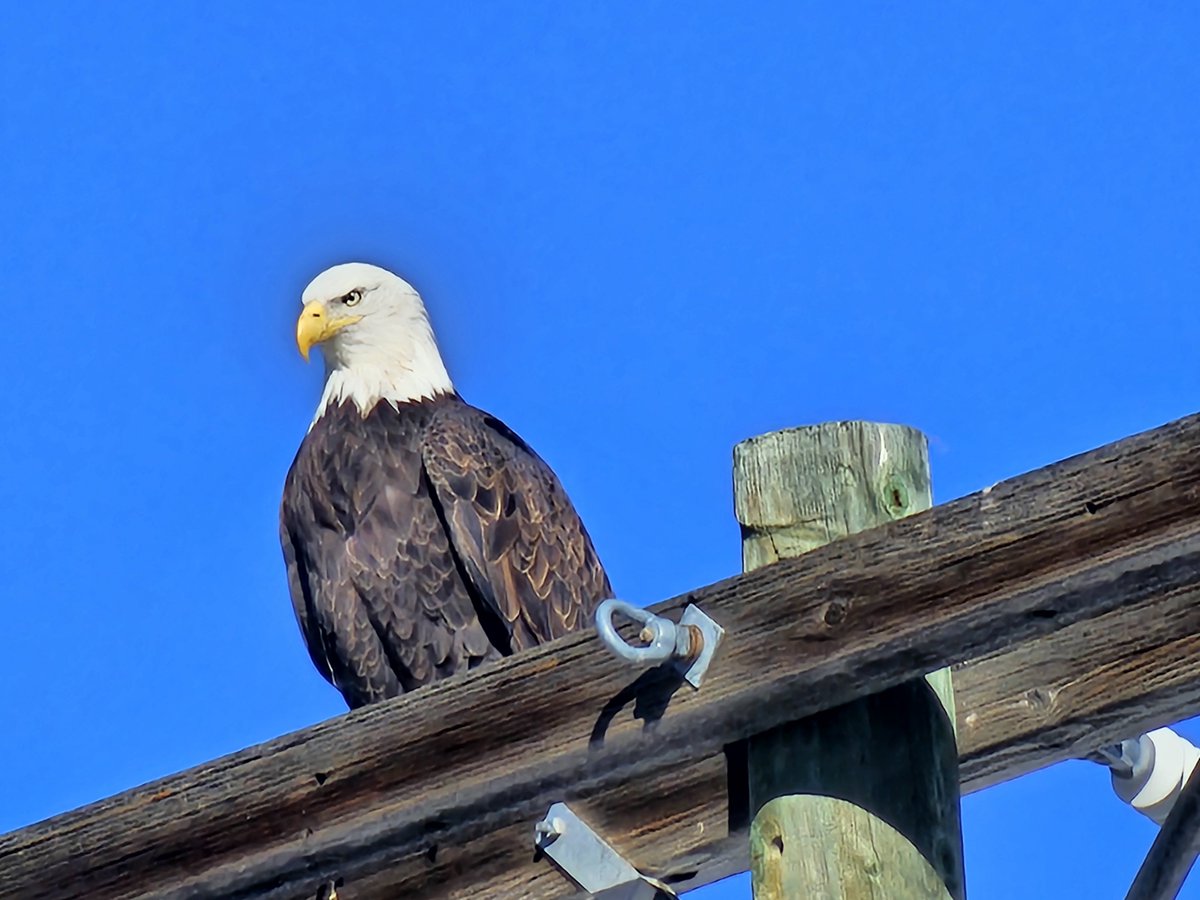 Just a few pics over the last year.