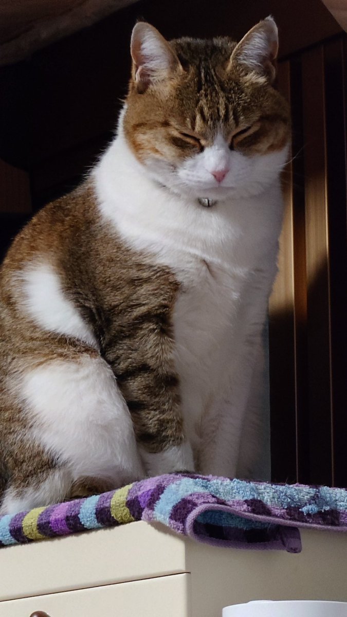 ルナふる^. .^ ꪆ@FF7プレイ中 tweet media