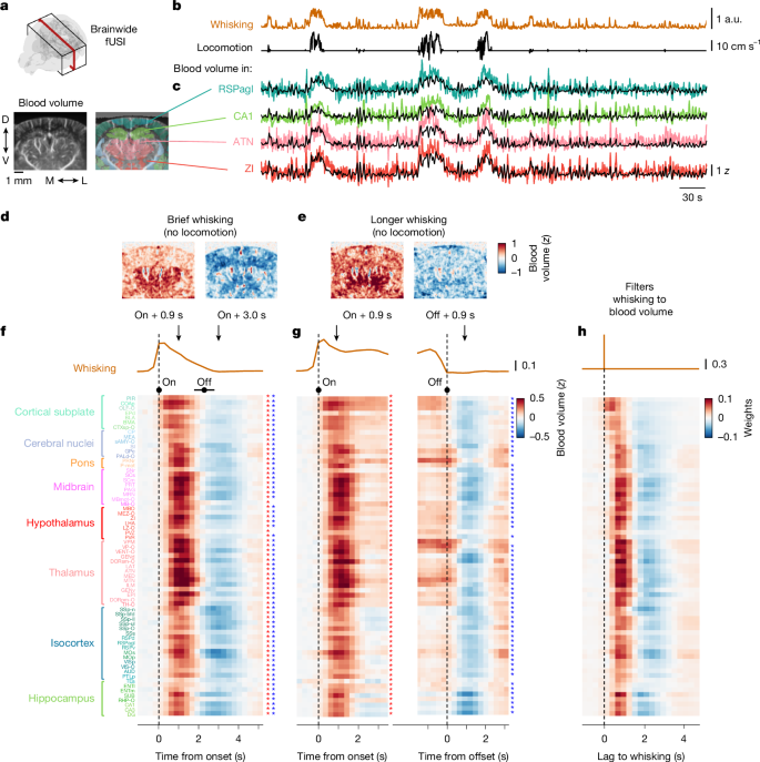 Waggoner Lab tweet media
