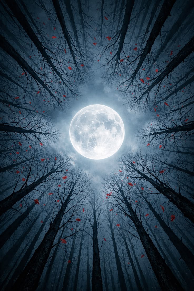 Moon aesthetic 🌕🧡