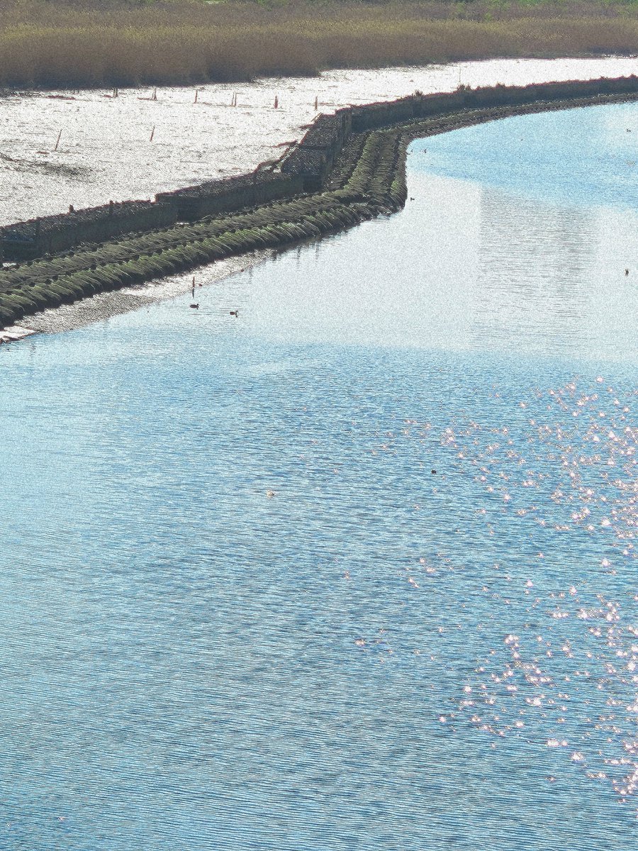 qzo_core's tweet image. 川は最初から、こんなふうに流れていたのかもしれない。
見えていなかっただけで。

#minimalphotography #waterfront #illustration #キリトリセカイ #写真好きな人と繋がりたい