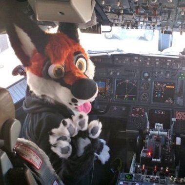 DramaAlert tweet media