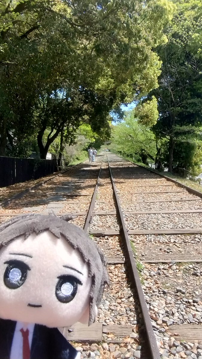 Feather_Lizard's tweet photo. ｻﾝ-ﾎﾟしてきた https://t.co/zprJsgtwiS