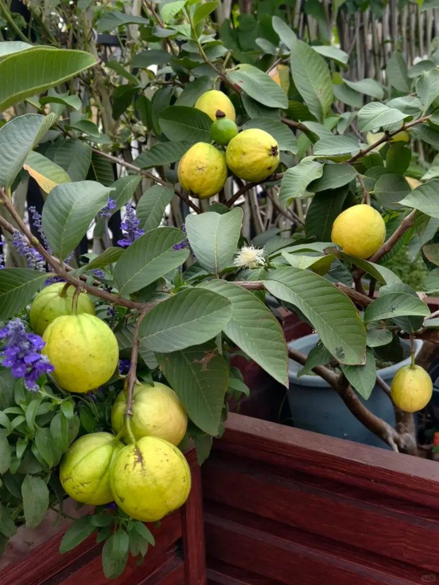 伪行者（互关必回） tweet media