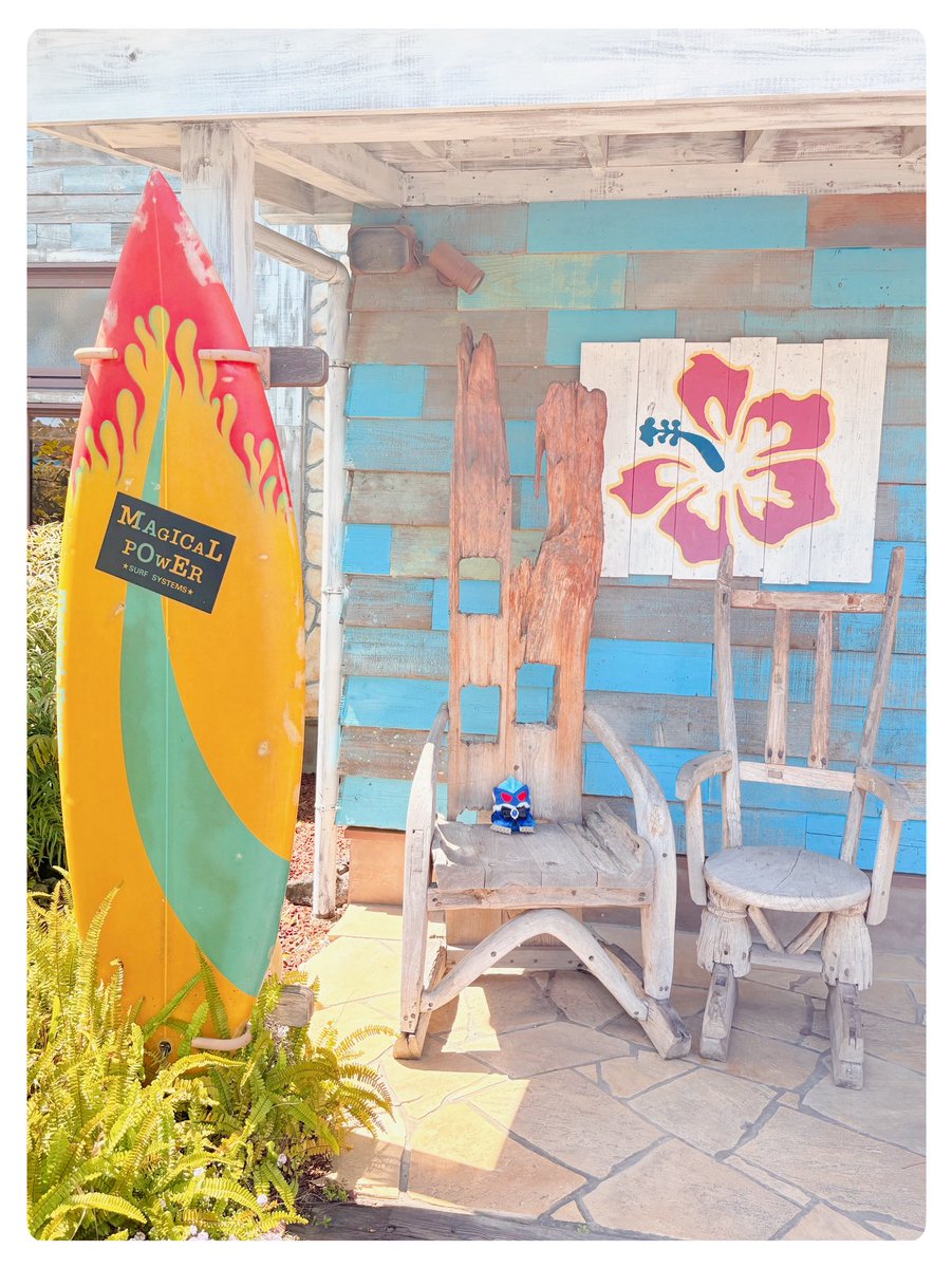 ましゅう tweet media