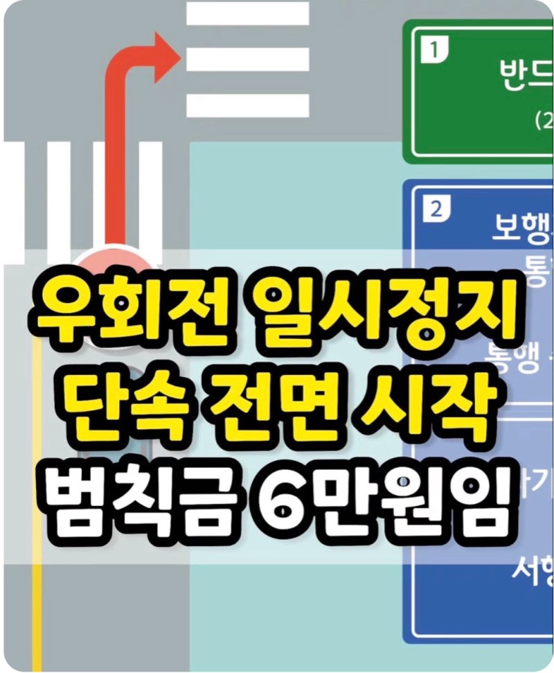 해꼬 tweet media
