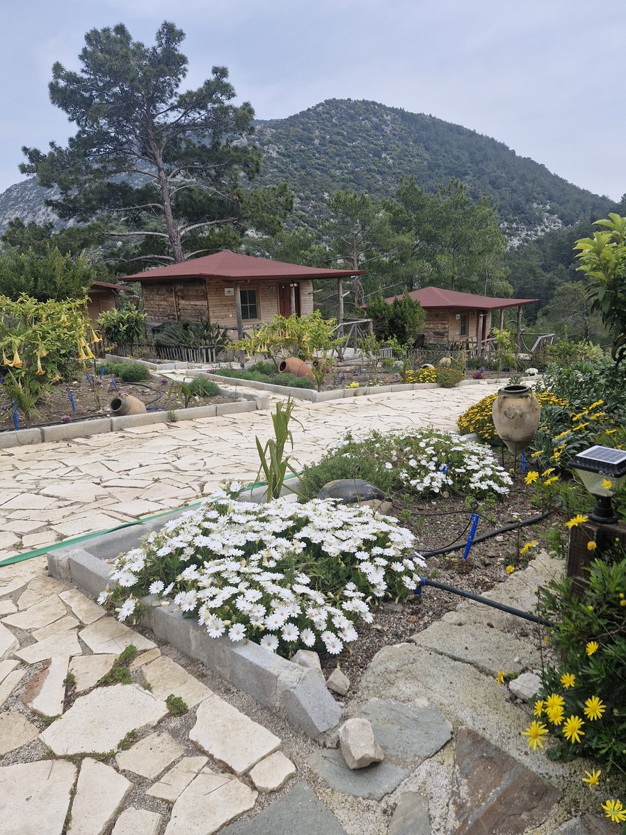 Kadir Kaya tweet media