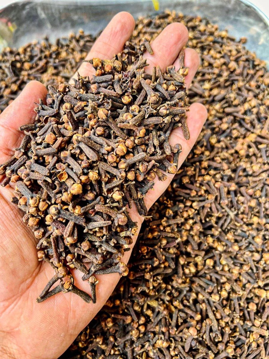 Think & Guess tweet media