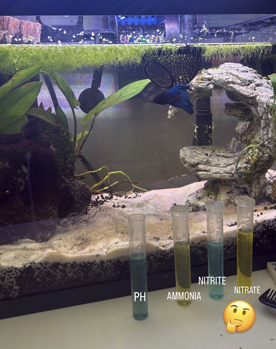 cruecabanger's tweet photo. Water tests are important! 🧪 https://t.co/EEI3BFEme2