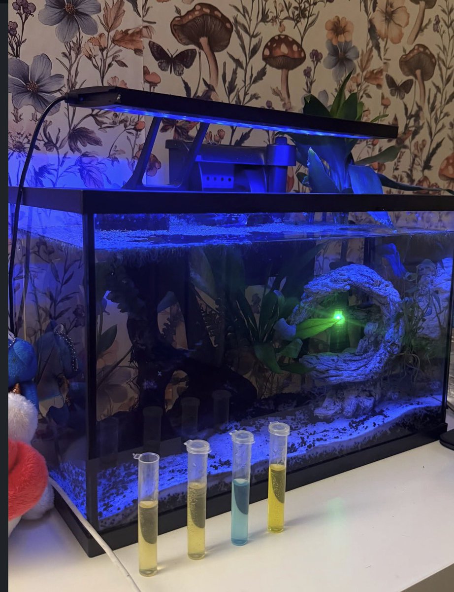 cruecabanger's tweet photo. Water tests are important! 🧪 https://t.co/EEI3BFEme2