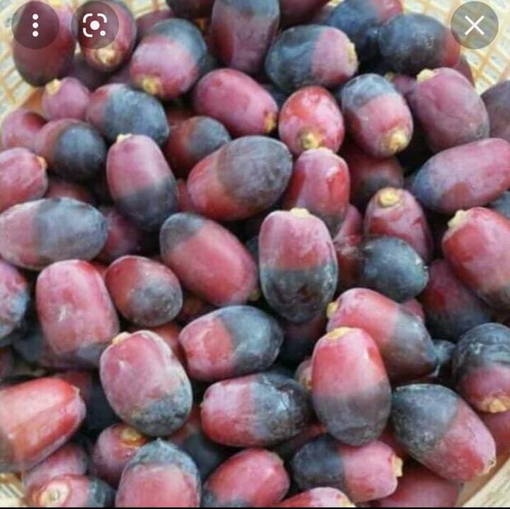 شبكة الريح للطقس tweet media