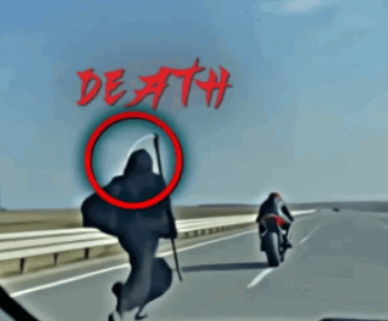 Ann🏳️‍⚧️ tweet media