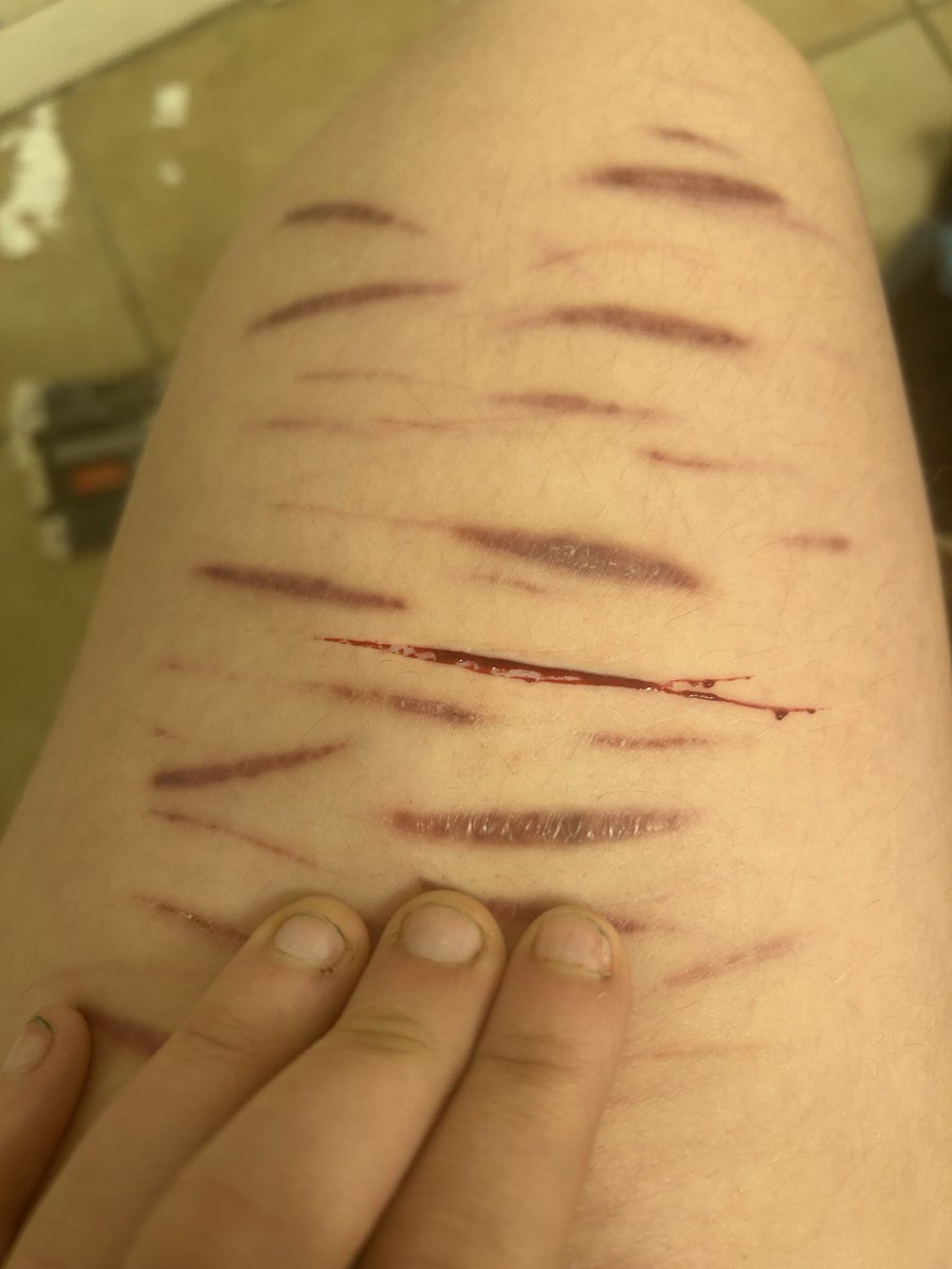 ⊹•∘˙˚✩ ɪᴠᴀɴ ✩˚˙∘•⊹ tweet media