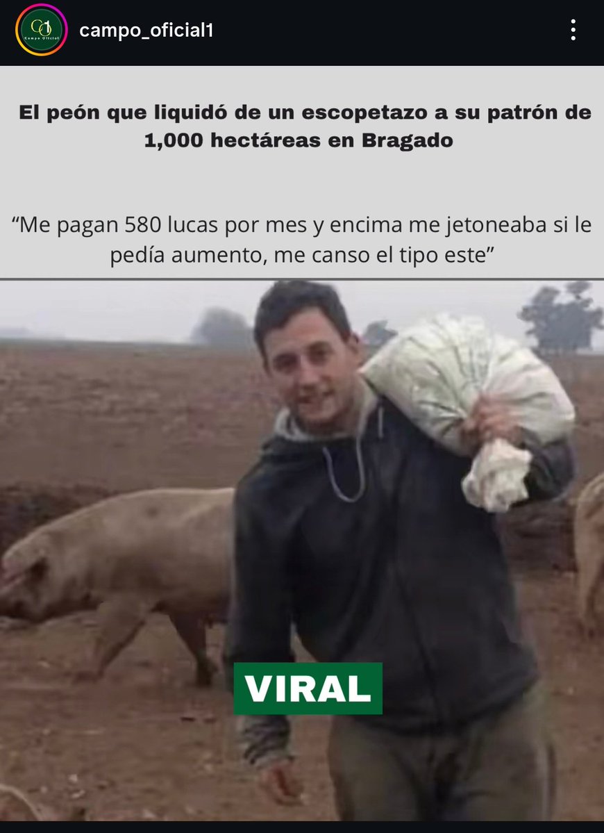 juan cruz fernández tweet media