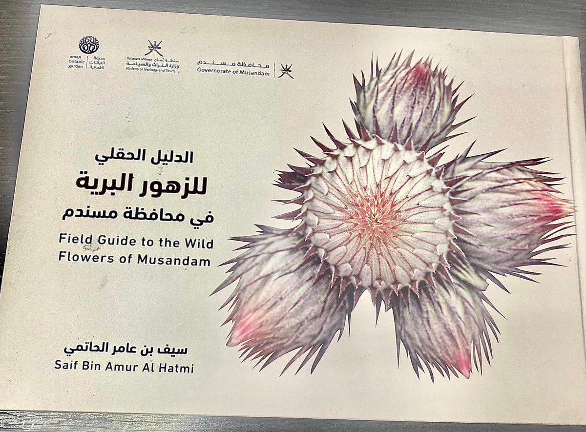 مجلة التكوين.. بيت الغشام للصحافة والنشر والإعلان tweet media