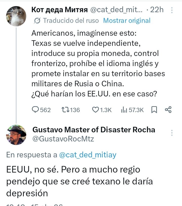 Gustavo Master of Disaster Rocha tweet media