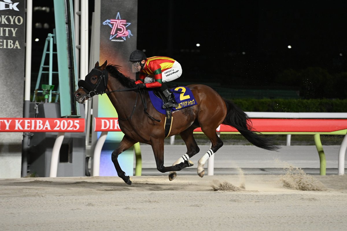 ブリリアントカップ 本日開催。大井競馬場で第9回ブリリアントカップ(4 