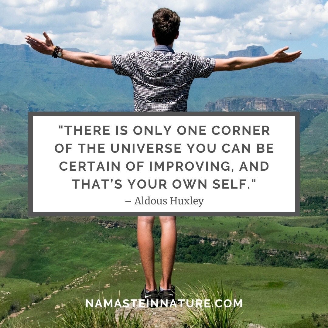 Into the Subconscious 🕸️