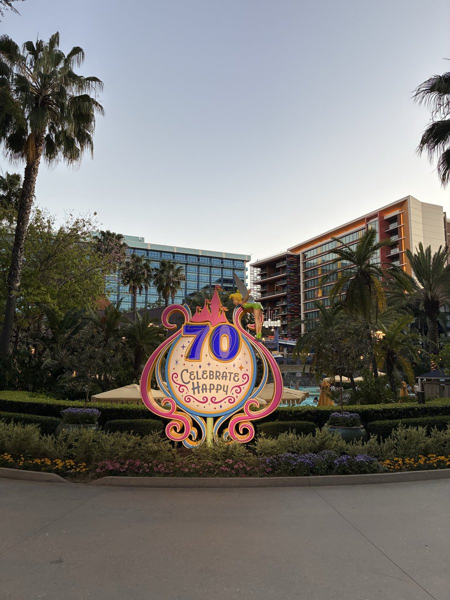 Lisa O'Brien tweet media