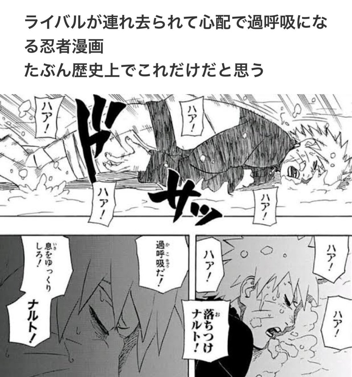 女たちのデータベース広場 tweet media