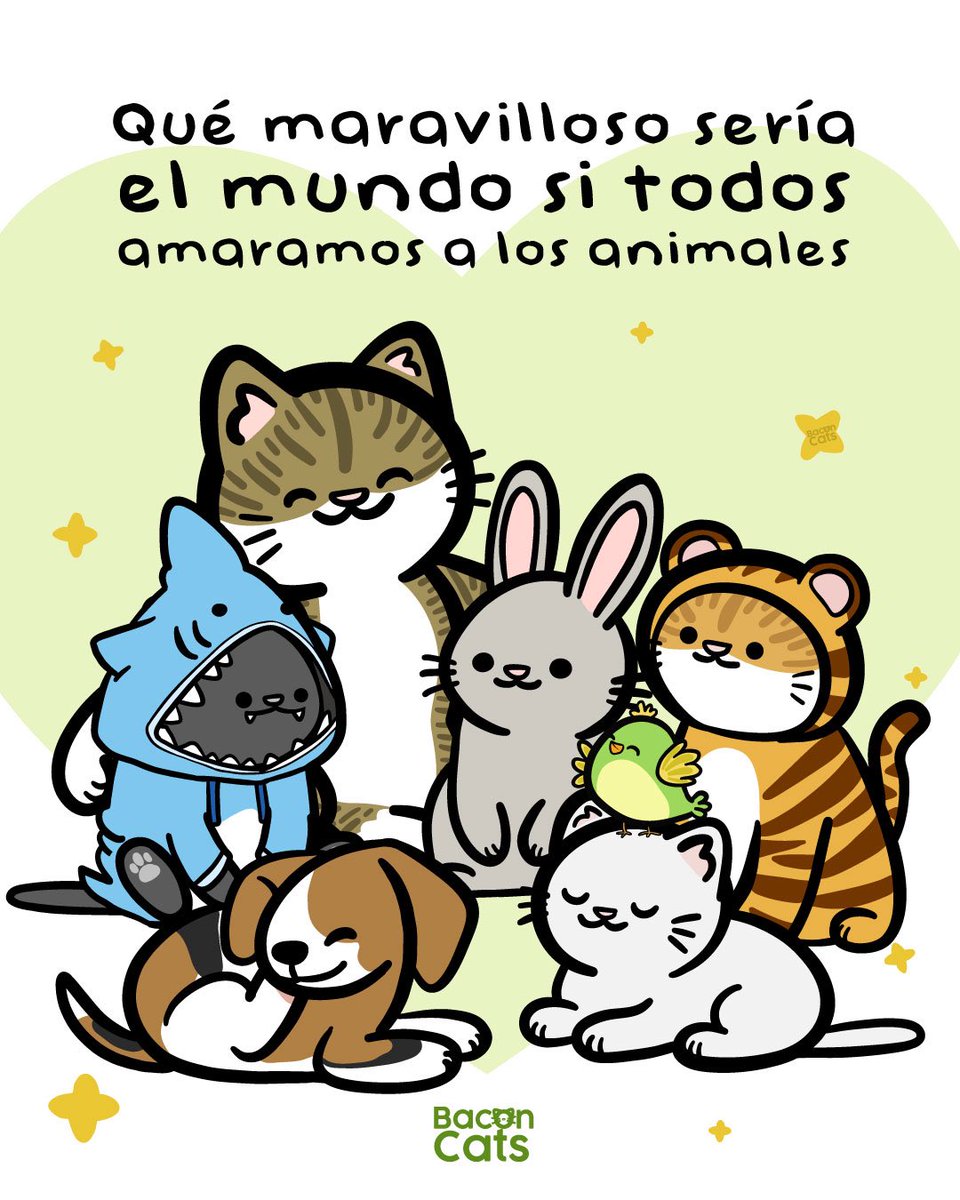 Bacon Cats tweet media